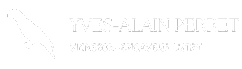 Yves-Alain Perret